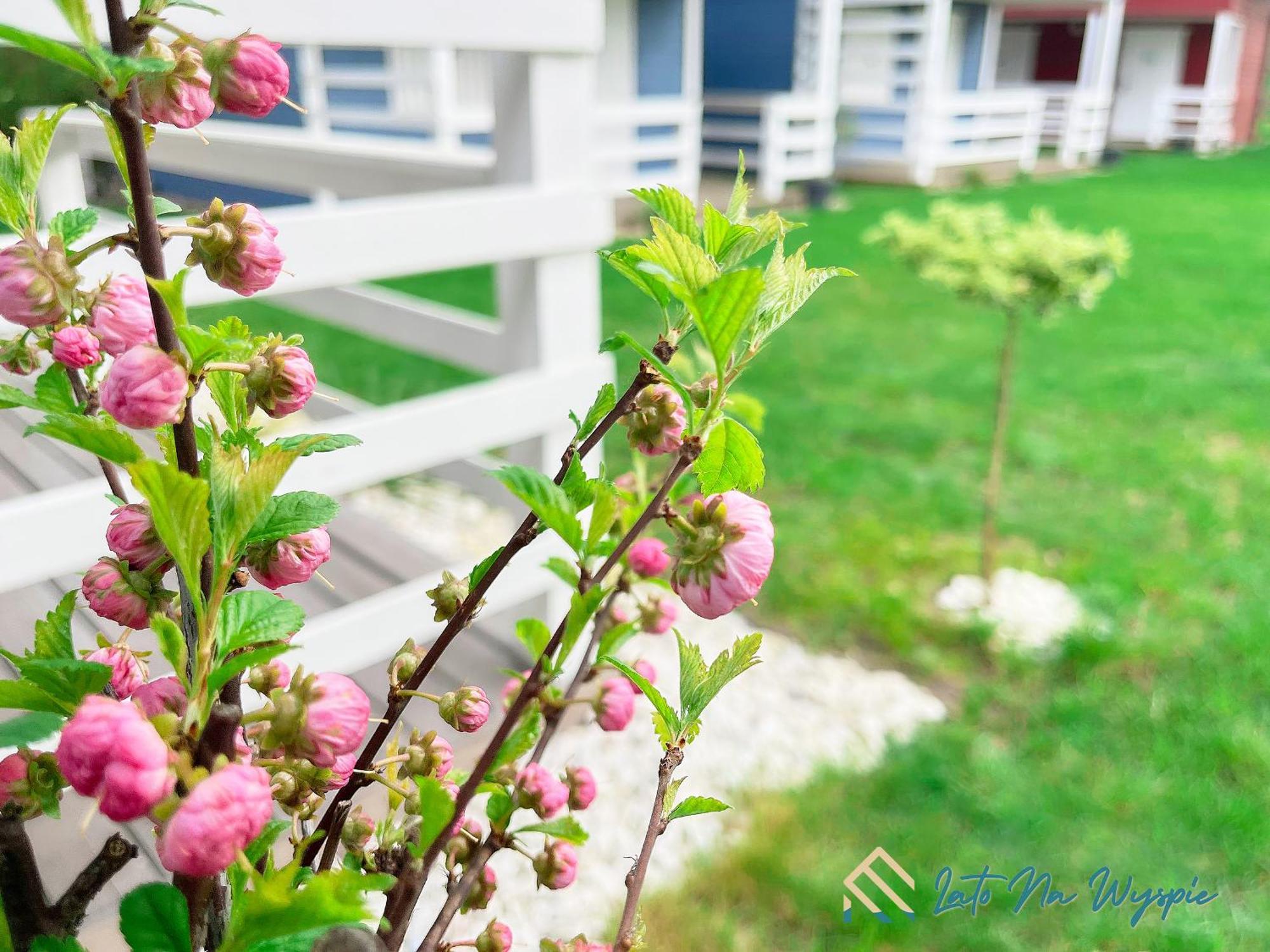 Villa Lato Na Wyspie Danzica Esterno foto